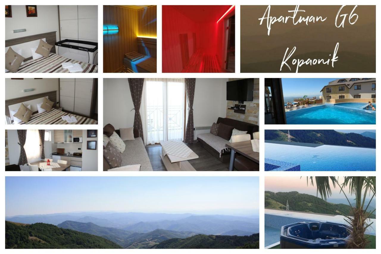 Apartment G6 Kopaonik Luaran gambar